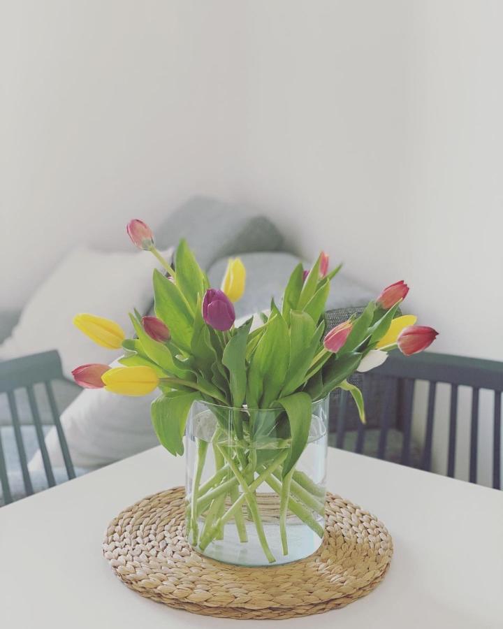 Cioccis Boutique Apartment 罗马 外观 照片